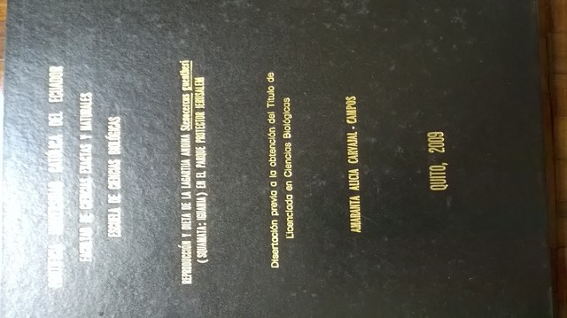 Graduación de mi hija