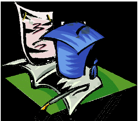 ESTRUCTURA DE LAS UNIVERSIDADES