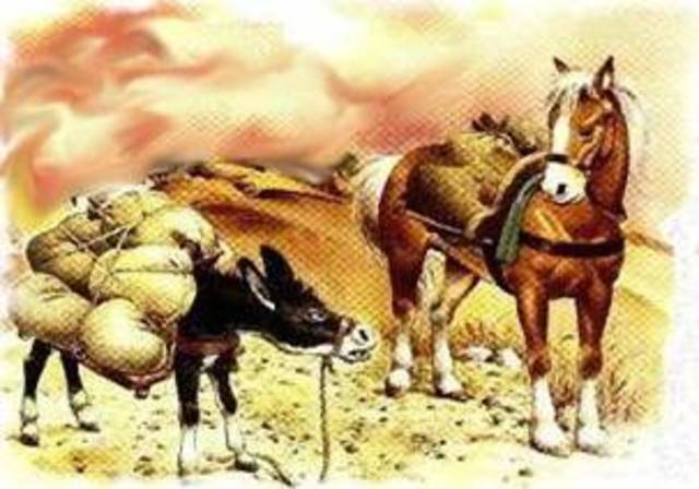 transporte trerrestre