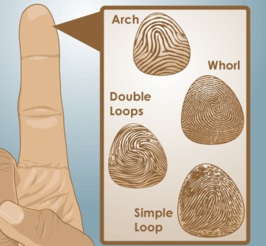 First System For Identifying Fingerprints is Invented