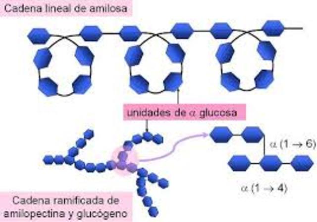 estructuras de cadena helicoidal