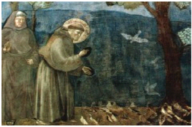 reconocimento del colegio mayor