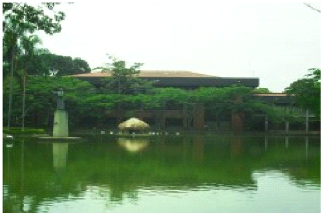 Inicio en Cali en Colegio Mayor