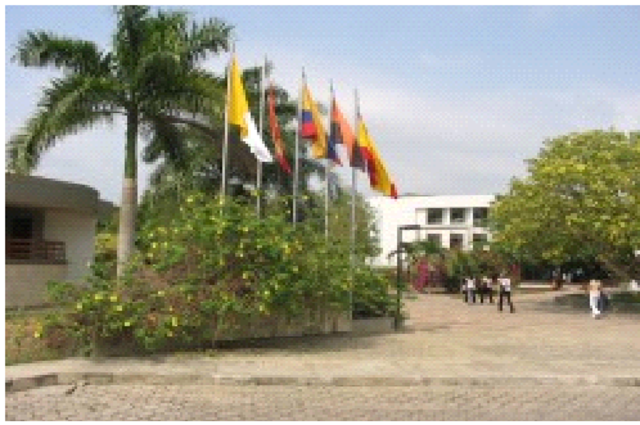 Programa de Licenciatura en Comercio y Contadurí