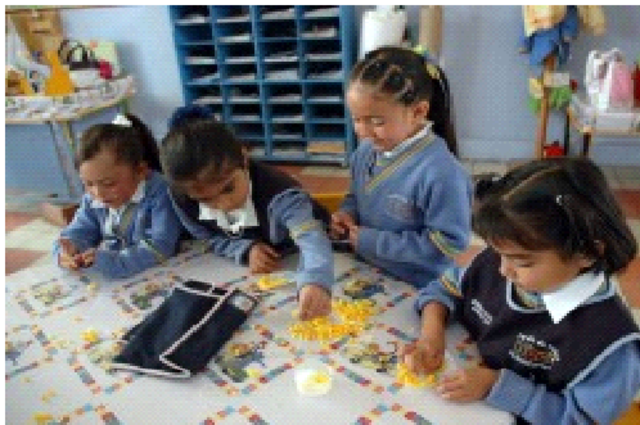 Programas a Distancia de Licenciaturas