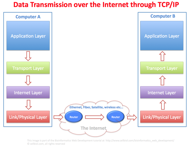 TCP/IP Adopted