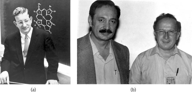 reglas de Woodward-Hoffmann