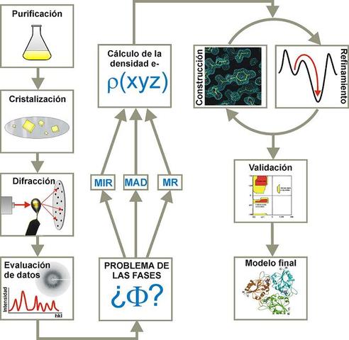 cristalografía de rayos X