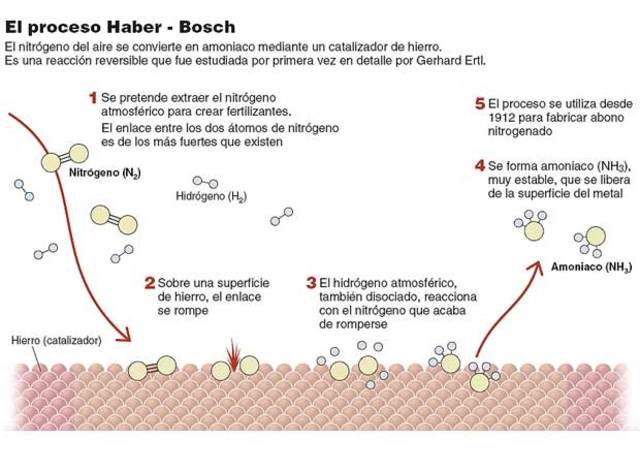 proceso de Haber
