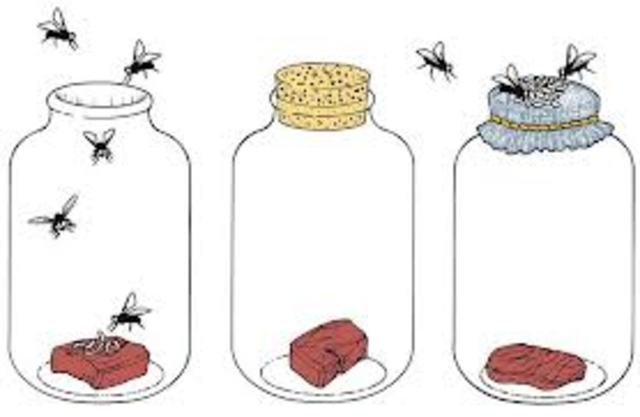 Spontaneous Generation's Downfall