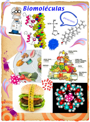 clasificacion de biomoleculas