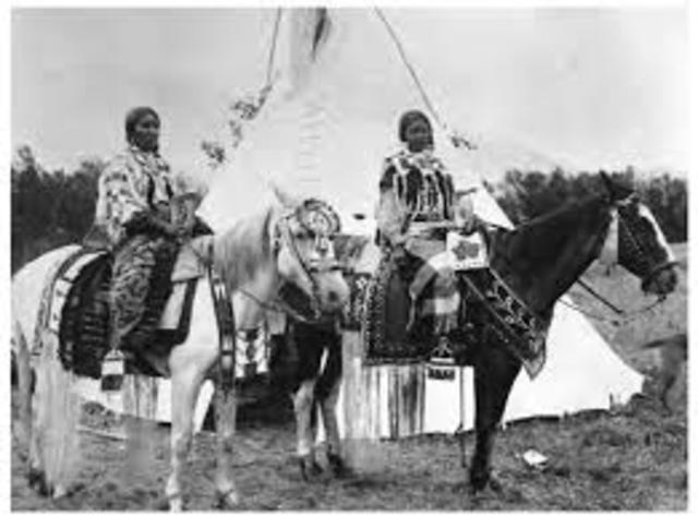 Diminished Buffalo Herds