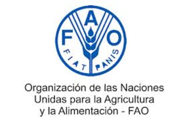 Organización para la&nbsp;Agricultura&nbsp;y la&nbsp;Alimentación&nbsp;(FAO)