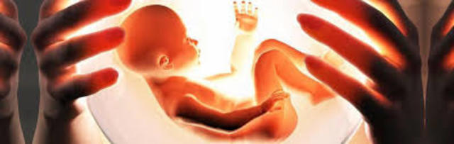 Desde el vientre a la vida
