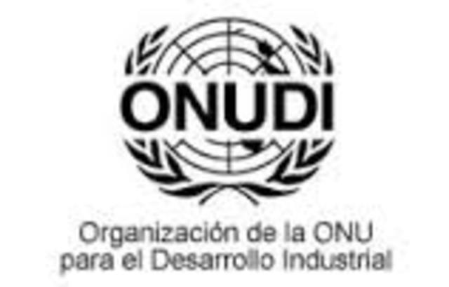 Organización de las Naciones Unidas para el Desarrollo Industrial (ONUDI)