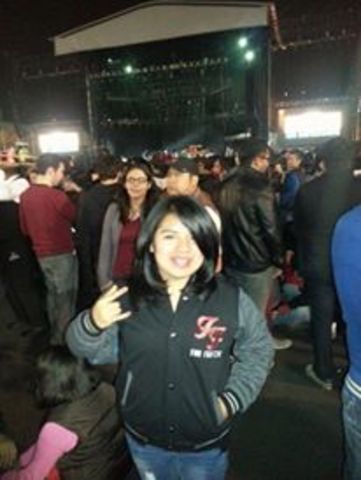 Concierto Foo Fighters