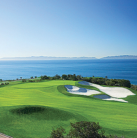 Won the BellSouth Classic