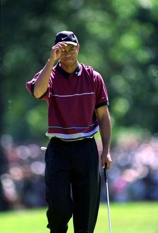 Won the PGA Champinship by one stroke