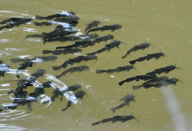 Started Kindergarten