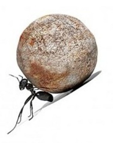 Ama lo que haces, ¡Hazlo por PASIÓN!