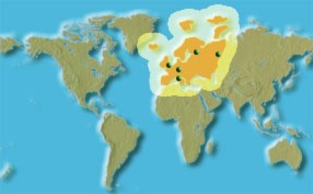 Scientific Revolution begins