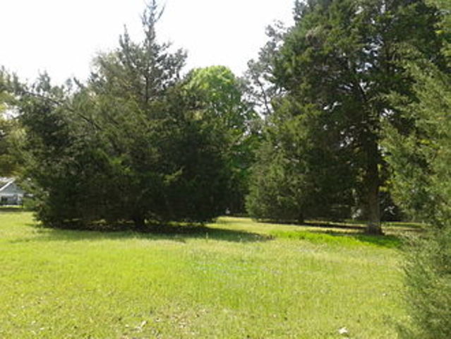 Battle of Eutaw Springs