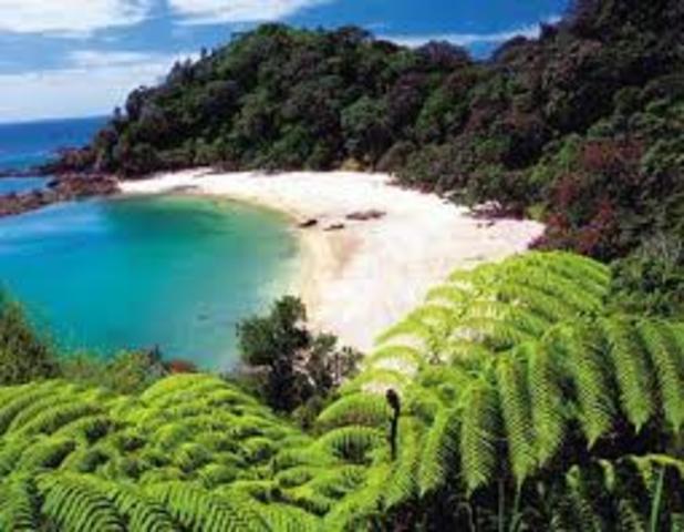 The Find of Whales Bay