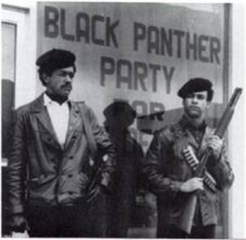 The Black Panthers