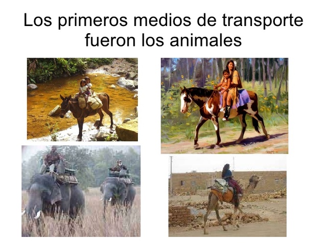 Animales de tiro