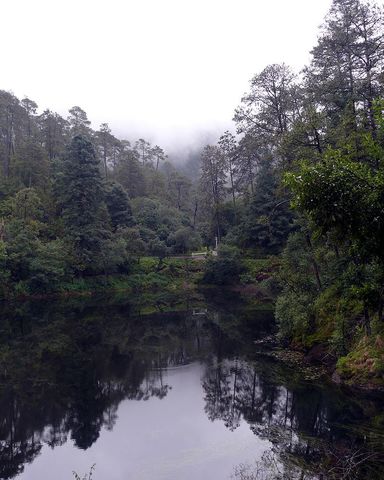 Parque nacional Lagunas de Zempoala