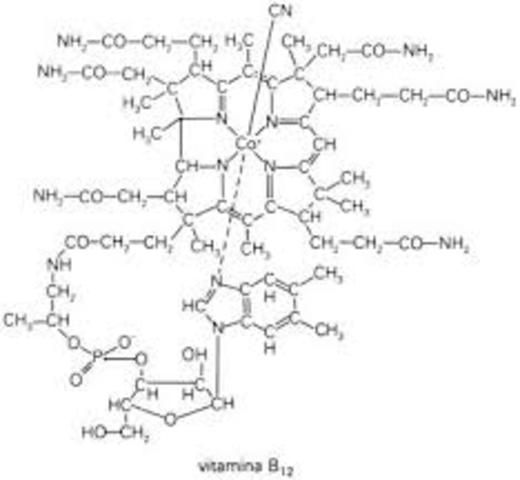Construccion de cadenas largas.