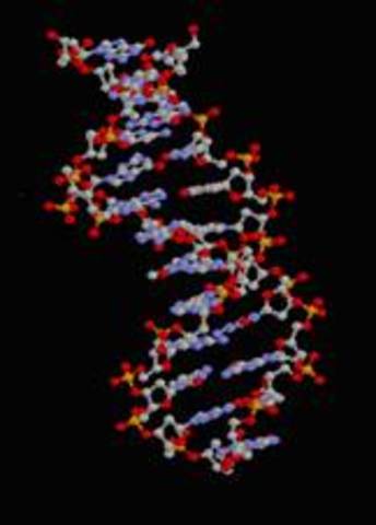El código genético