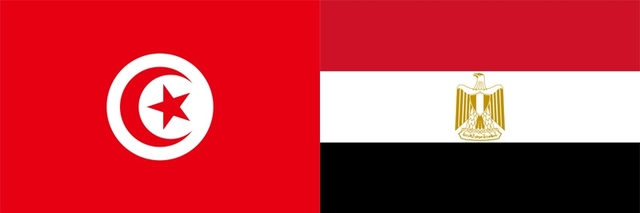 Movimientos Pro Democracia en Tunez y Egipto