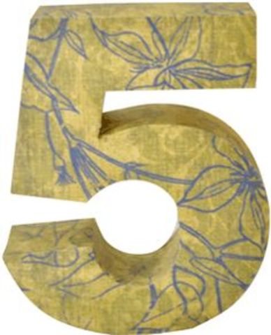 In 5 year's time (6)