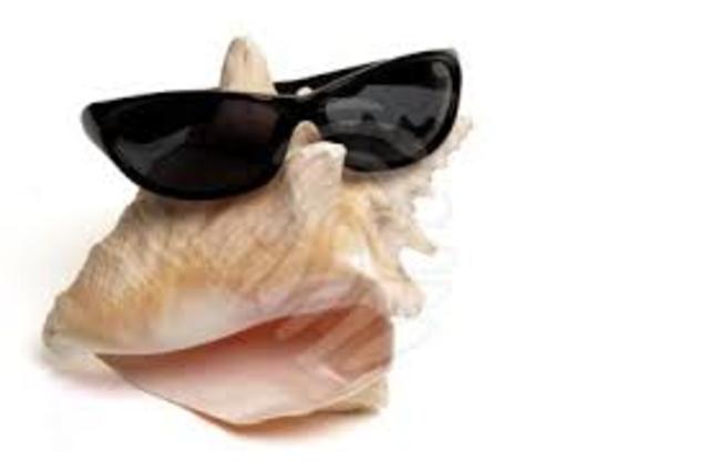 Chapter 10 - The shell and the glasses