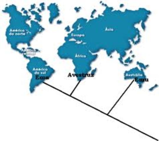 A cladística domina a biologia