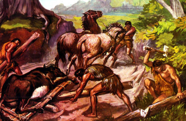 100a.C TRANSPORTE ANIMAL