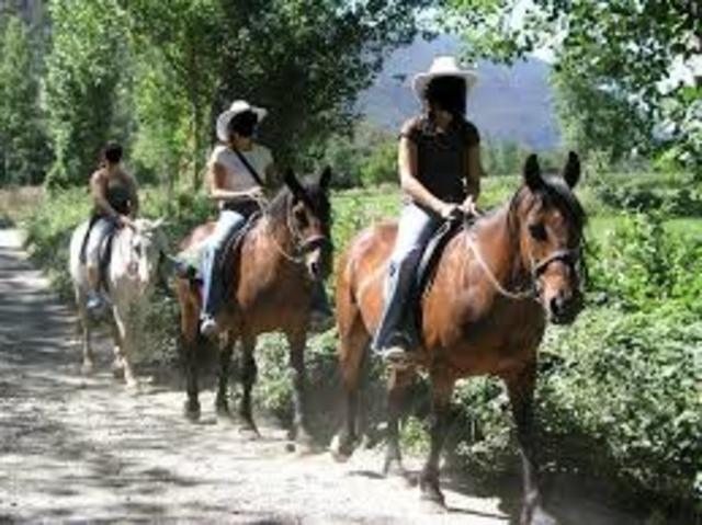 caballos como medio de transporte