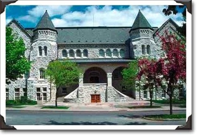 Enseñanza a distancia de nivel Universitario