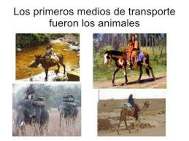 PRIMEROS MEDIOS DE TRANSPORTE