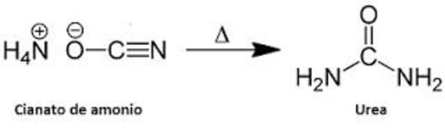 La primera opinión subvertida al vitalismo