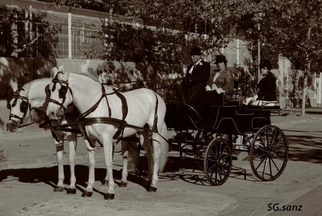 Transporte de tiro (3.000 a.c)