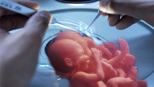 Primeros embriones humanos