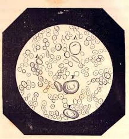 2015 OPTIENEN COMPUESTOS APICEOS APARTIR DE LA LEVADURA GENETICAENET MODIFICADA