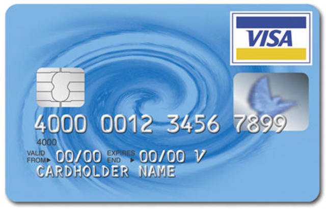 Chose and was approved for a Visa credit card