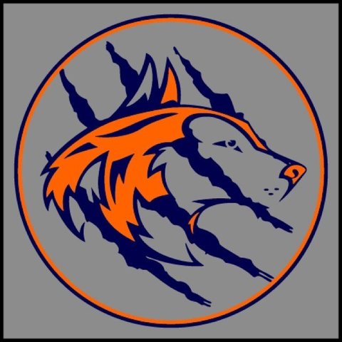 graduate from Naperville North High School