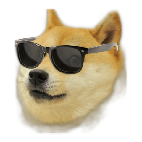 buy a second doge
