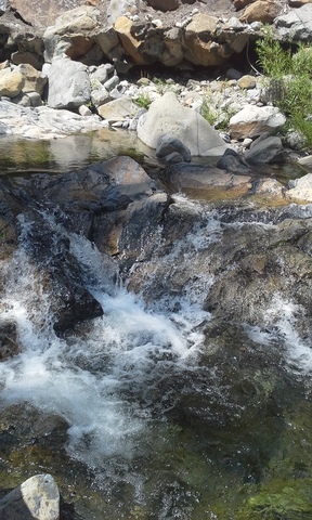 Favorite Swimming Back Home