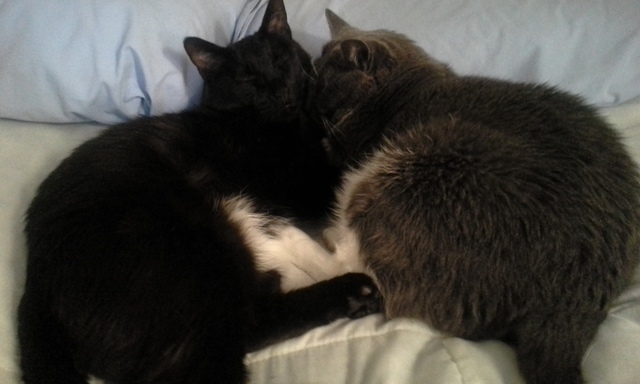 Hanging with Gus and Mia