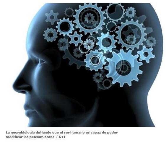 TE como estudio científico para modificar practicas educativas